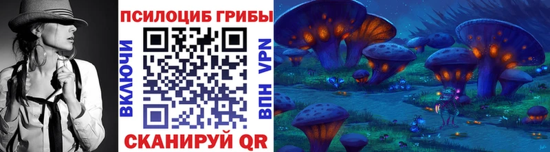 Псилоцибиновые грибы Psilocybine cubensis  Арамиль 